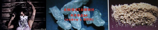 прущие грибы Елабуга