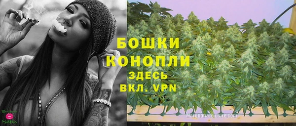 прущие грибы Елабуга