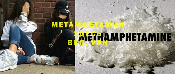 прущие грибы Елабуга