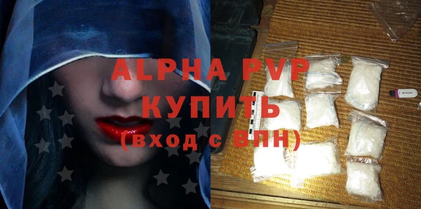 прущие грибы Елабуга