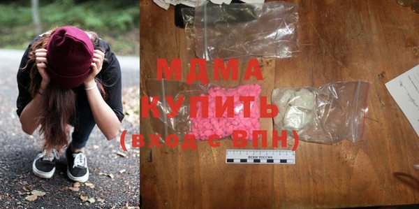 прущие грибы Елабуга