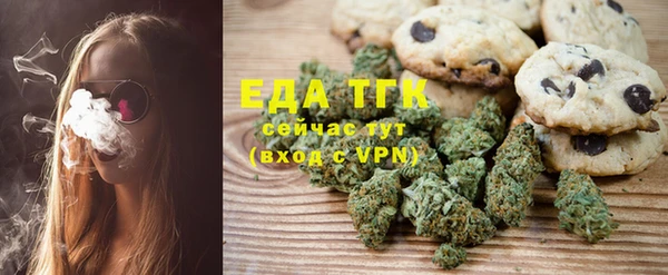 прущие грибы Елабуга