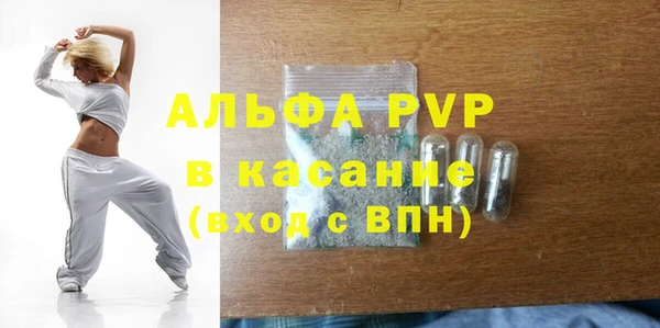 прущие грибы Елабуга