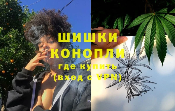 прущие грибы Елабуга