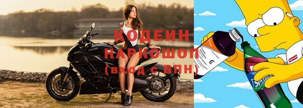 прущие грибы Елабуга